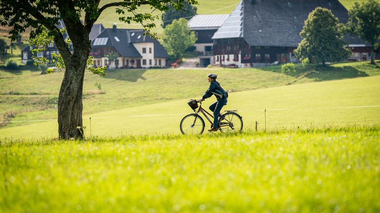 Franziska fährt mit ihrem Rad durch Schwarzwaldlandschaft