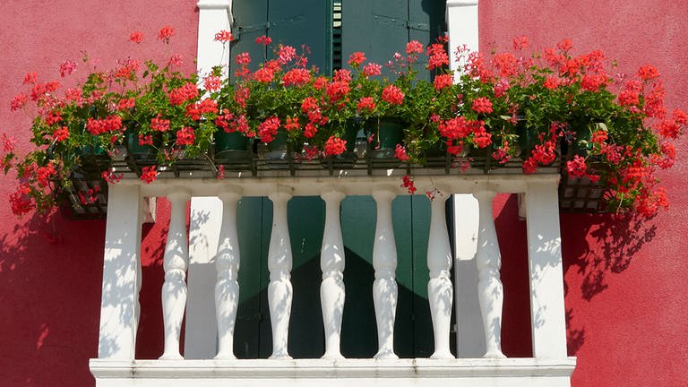 Balkon mit roten Blumen - Farbe des Sommers