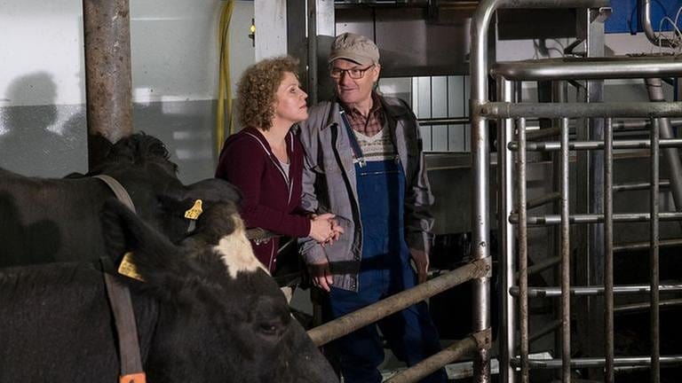 Karl und Bea im Kuhstall, im Vordergrund eine Kuh