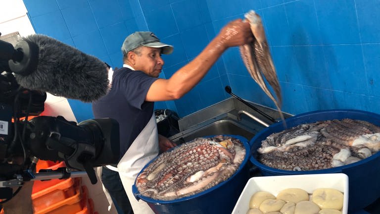 Mit Kamera beim Waschen der Kraken für ein Restaurant in Santa Luzia