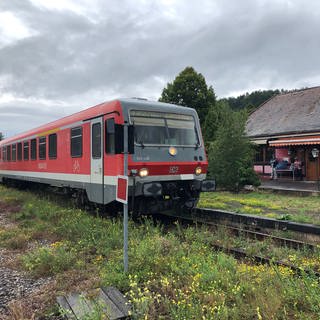 Auf der pfälzischen Wieslauterbahn zwischen Hinterweidenthal-Ost und Bundenthal-Rumbach gibt es seit 1997 wieder Personenverkehr. Der Ausflugszug „Bundenthaler“ ist bei Touristen sehr beliebt.