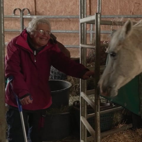 Seniorin arbeitet in einem Pferdestall