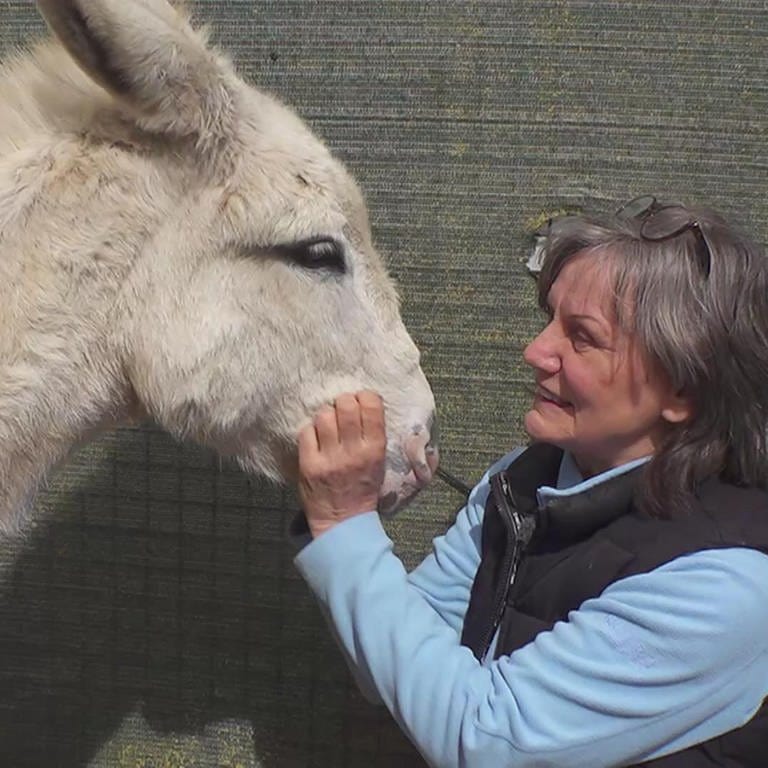 Birgit und ihre störrischen Esel