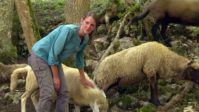 Julianna Ranzmeyer mit ihren Schafen in Leibertingen im Donautal