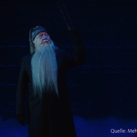 Michael Clauder als Dumbledore (Foto: SWR, SWR)