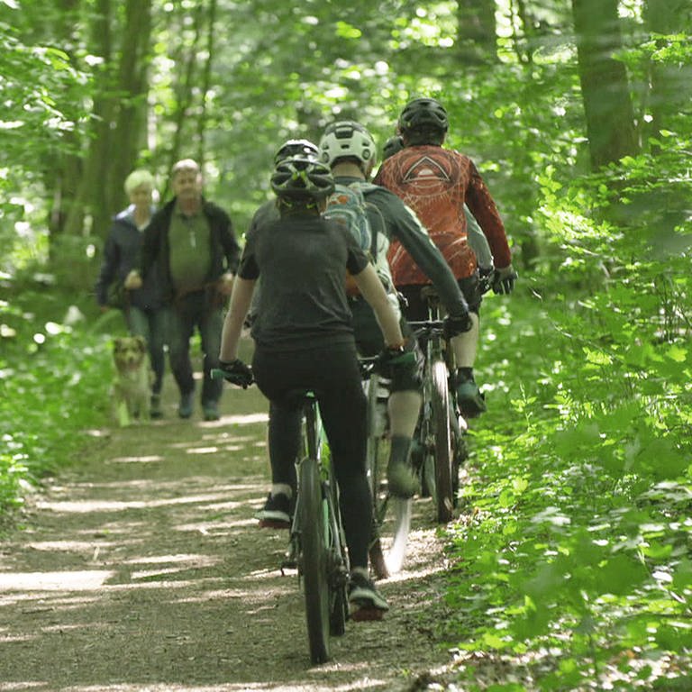 Waldweg, Fußgänger und Mountainbike-Fahrer begegnen sich