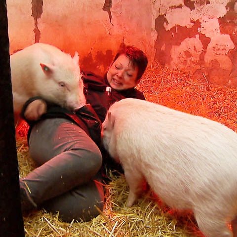 Silke Arnold kümmert sich liebevoll um ihre Schweine.