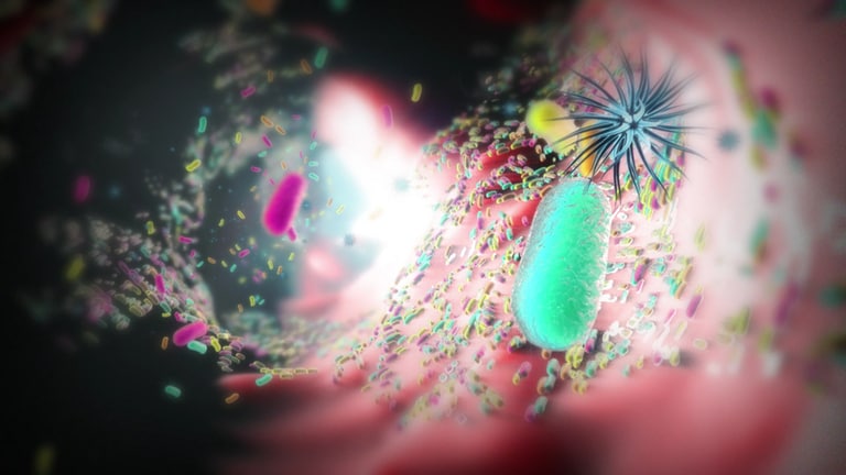 Animation des Inneren eines Darms mit seinem aus Bakterien, Viren und Pilzen bestehenden Mirkobiom. Wie beeinflusst der Darm unsere Gesundheit?
