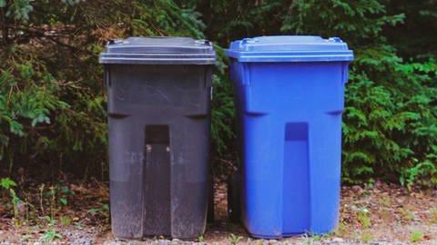 Eine schwarze und eine blaue Mülltonne stehen nebeneinander.