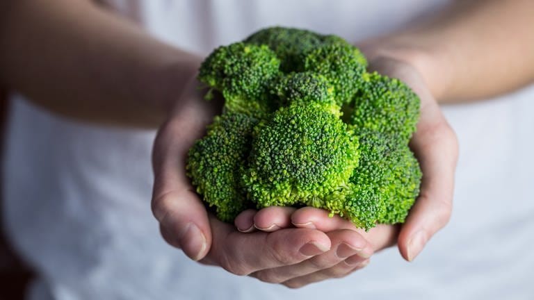 Zwei Hände umschließen einen Brokkoli. Das Superfood steckt voller Vitamine, Mineralstoffe und sekundärer Pflanzenstoffe. Schützt Brokkoli sogar vor Krebs?