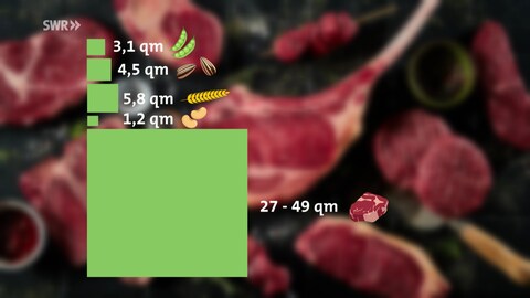 Ein Balkendiagramm beschriftet mit den jeweiligen Emojis zeigt den Fläschenverbrauch von Erbsen, Soja, Sonnenblumenkernen und Weizen (für Seitan) im Vergleich zum Flächenverbrauch der Tierhaltung für die Fleischproduktion. Der Fläschenverbrauch wird in Quadratmetern pro Kilogramm des Endprodukts angegeben. Ein Kilo Erbsen verbaucht 3,1 Quadratmeter Fläche, Sonnenblumenkerne 4,5qm, Weizen 5,8qm, Soja 1,2qm und die Tierhaltung für ein Kilo Fleisch braucht 27-49qm.