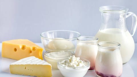 verschiedene Behälter mit Milch, Joghurt und Käse