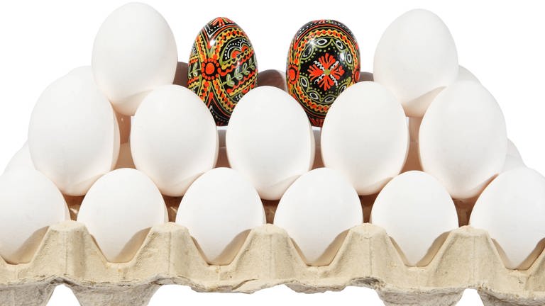 Weiße Eier in einer Eierpappe und ein farbiges Ei dazwischen 