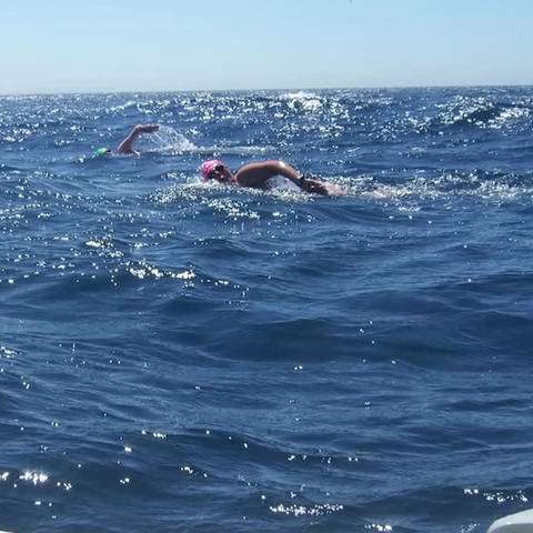 Extrem-Schwimmerin Anke Höhne (Foto: SWR)