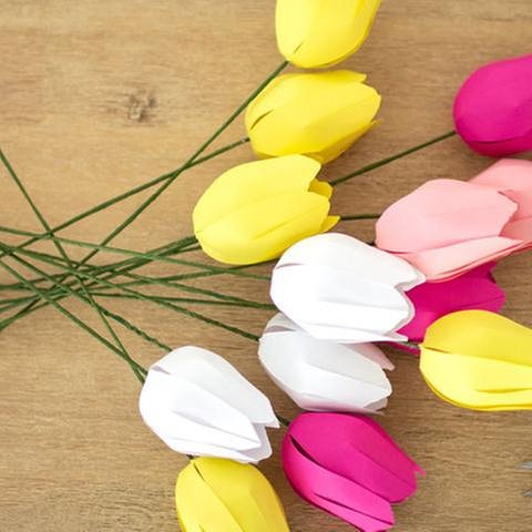 Fertig sind die 3D Tulpen aus Papier! (Foto: Privat - Anastasia Baron)
