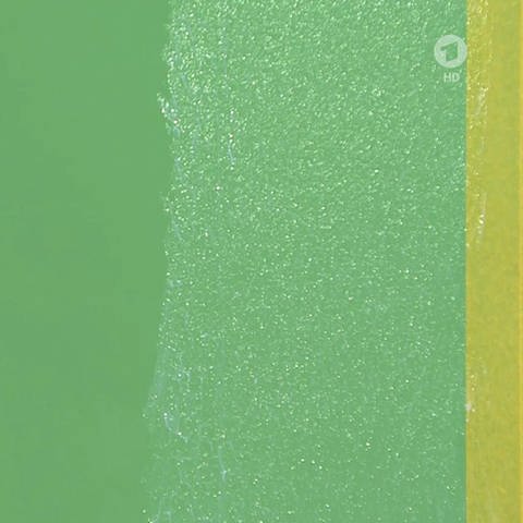 Grüne Wandfarbe mit Glitzereffekt (Foto: SWR)