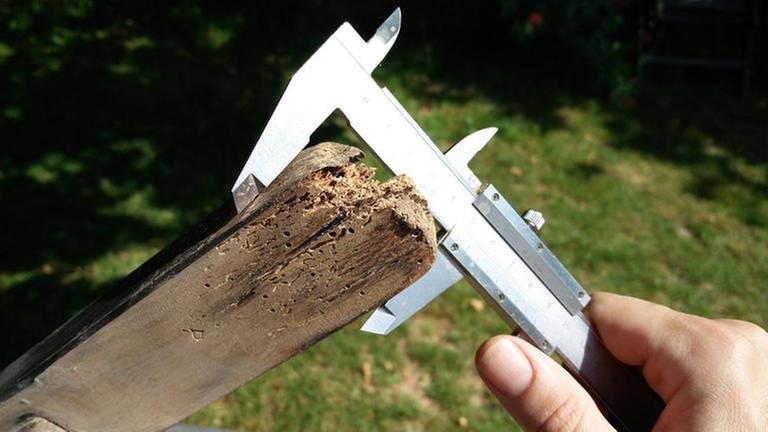 Wenn Stuhlbeine von Feuchtigkeit und Holzwurm zu stark angegriffen wurden, so hilft es nur, ein Stück Holz auszutauschen. (Foto: Privat - Andreas Frisch)