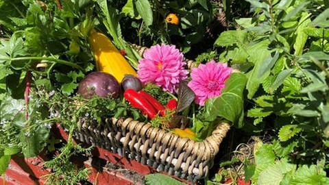 Korb mit Gemüse (Foto: SWR, SWR -)