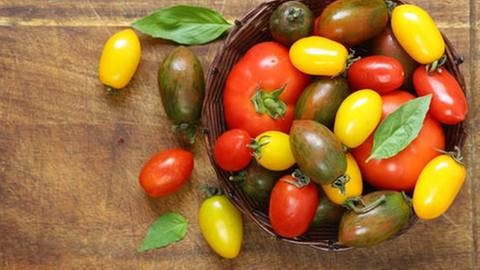 bunte Tomaten (Foto: Colourbox, Foto: Colourbox.de -)