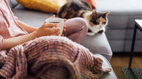 Eine Frau hat es sich mit Kuscheldecke, Tee und Katze auf dem Sofa gemütlich gemacht (Foto: SWR)