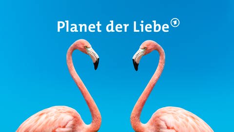 Planet der Liebe (Foto: ard-foto s2-intern/extern)