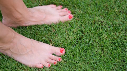 nackte Füße auf Gras (Foto: Colourbox)