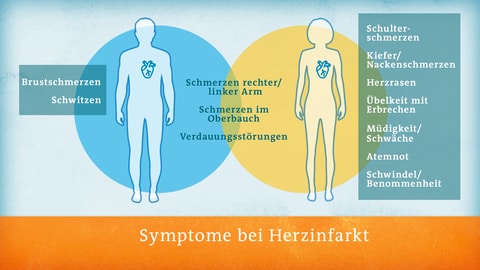 Grafik Symptome Herzinfarkt (Foto: SWR)