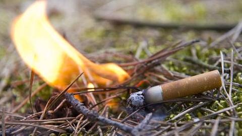 Eine im Wald weggeworfene Zigarettenkippe löst einen Brand aus (Foto: SWR, picture-alliance / dpa - Patrick Pleu)