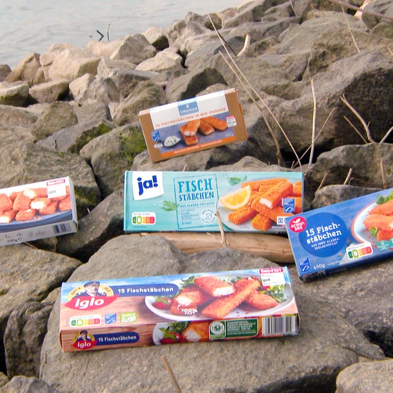 Geschmacksprobe Fischstäbchen (Foto: WDR)