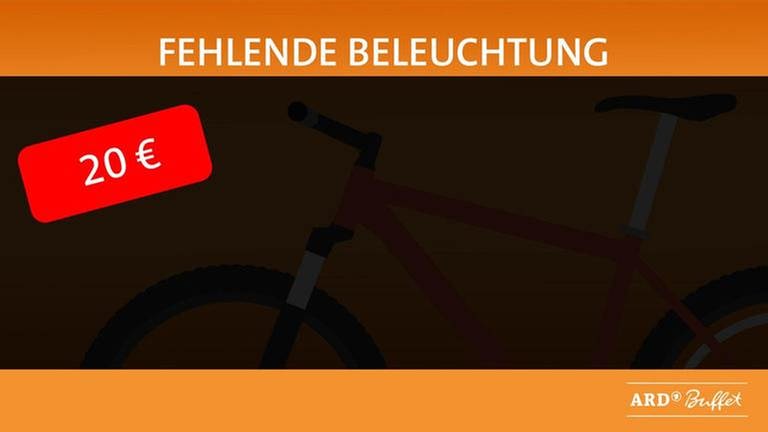Fahrrad ohne Beleuchtung (Foto: SWR, SWR -)
