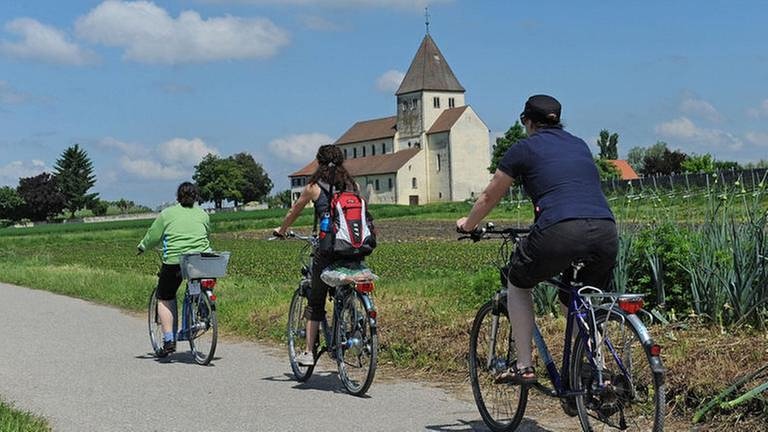 Radfahrer auf der Insel Reichenau (Foto: dpa Bildfunk, dpa Bildfunk -)