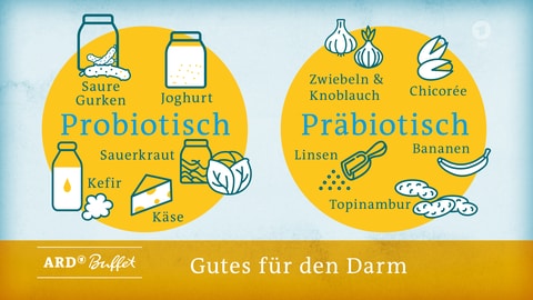 Grafik: Probiotische Lebensmittel (Foto: SWR)