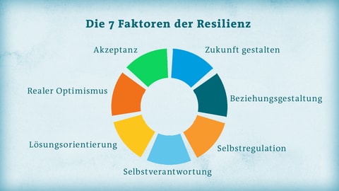 Grafik Faktoren für Resilienz (Foto: SWR)