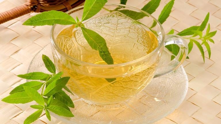 Gelblicher Tee in Glastasse mit grünen Blättern verziert (Foto: Colourbox, Foto: Colourbox.de -)