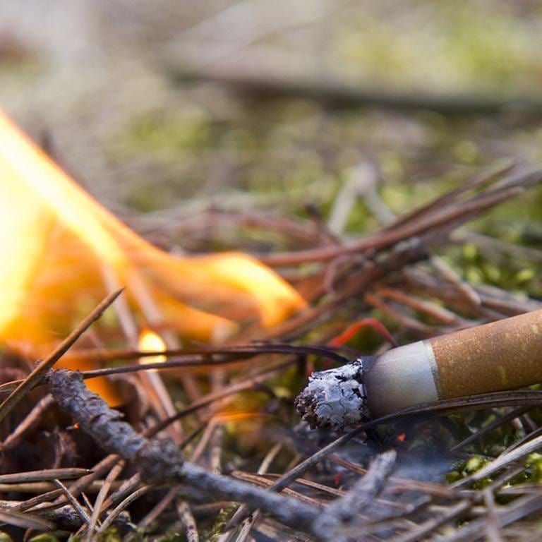 Eine im Wald weggeworfene Zigarettenkippe löst einen Brand aus (Foto: SWR, picture-alliance / dpa - Patrick Pleu)