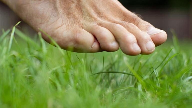 Ein nackter Fuß setzt im Gras auf (Foto: SWR, picture-alliance / dpa - Friso Gentsch)