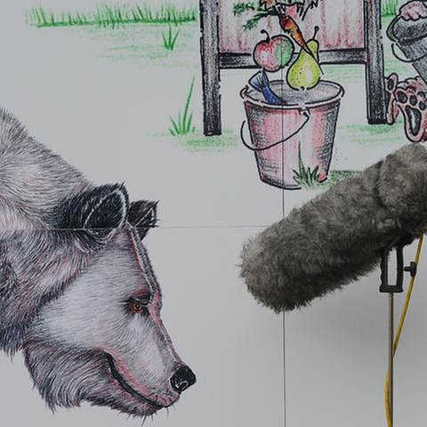 Gezeichneter Bär, davor ein Richtmikrofon mit Puschel (Foto: SWR, Ralf Bürglin/Alternativer Wolf- und Bärenpark Schwarzwald -)