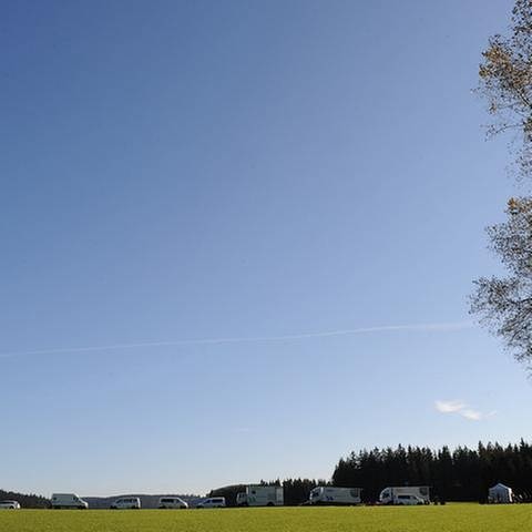 Viele SWR-Autos am Waldrand vor blauem Himmel und grüner Wiese (Foto: SWR, SWR/Stephanie Schweigert -)