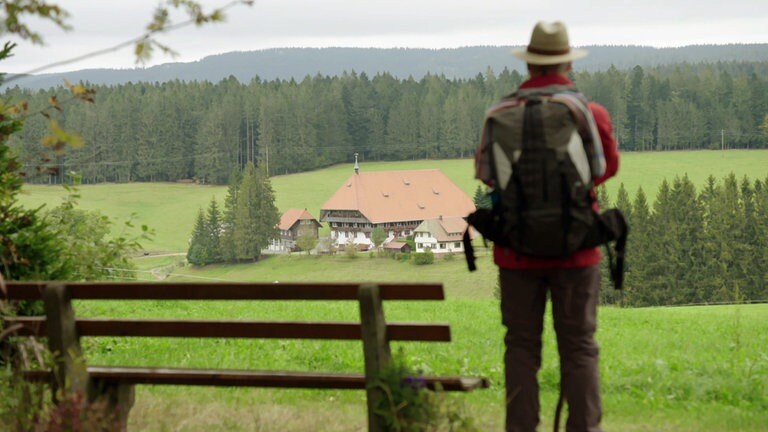 Unvorhergesehen Die Fallers Swr Fernsehen