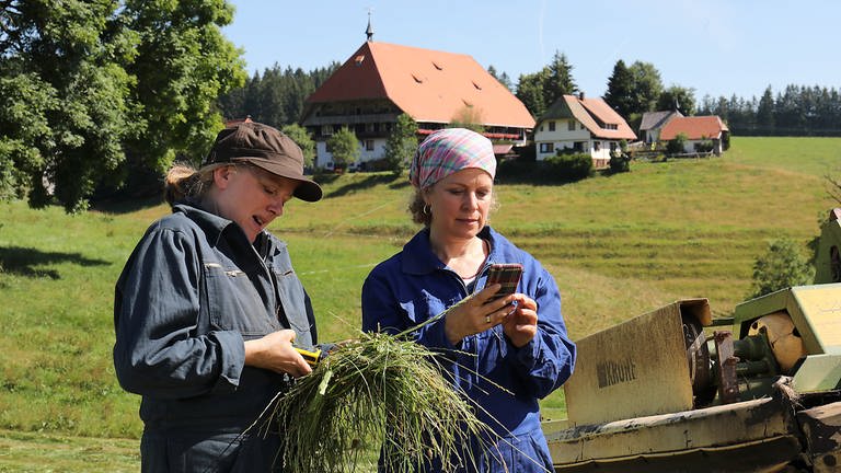 Evelyn und Bea prüfen das gemähte Gras, im Hintergrund der Fallerhof  (Foto: SWR, Johannes Krieg)