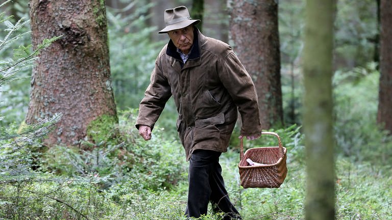 Franz streift mit einem Korb in der Hand durch den Wald (Foto: SWR, Johannes Krieg)