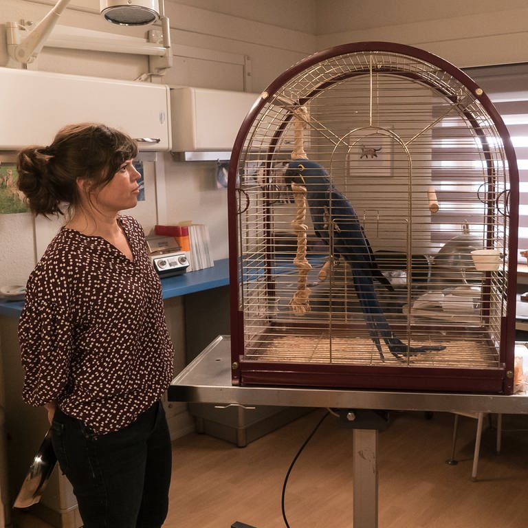 Eva, Andreas und ein blauer Papagei in der Tierarztpraxis (Foto: SWR, Stephanie Schweigert)