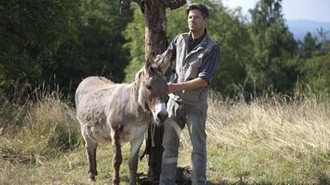 Andreas steht bei einem verletzten Esel, der an einem Baum festgebunden ist (Foto: SWR, SWR/Martin Furch -)