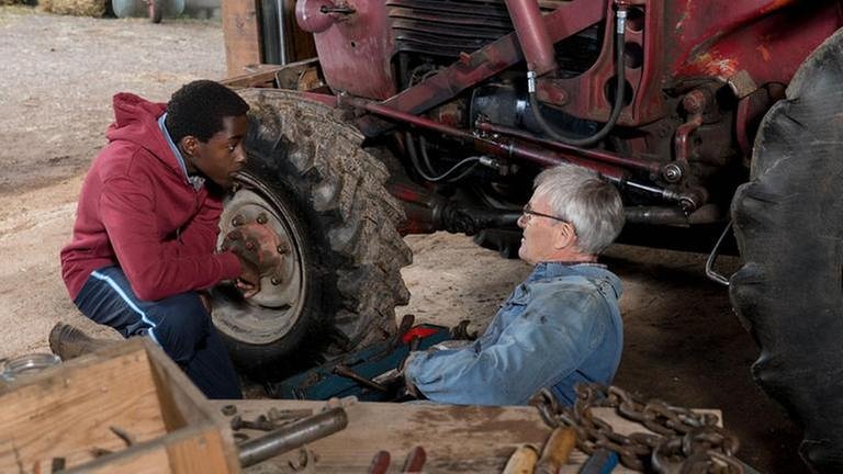 Tayo hilft Karl dabei, den Traktor zu reparieren (Foto: SWR, SWR/Stephanie Schweigert -)