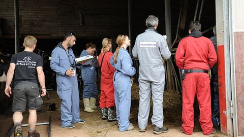 Team in Schutzkleidung bei Dreharbeiten vor dem Stall (Foto: SWR, SWR/Stephanie Schweigert -)