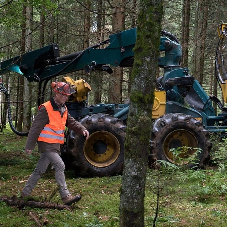 Karl und Riedle arbeiten mit dem Vollernter im Wald (Foto: SWR, SWR/Stephanie Schweigert -)