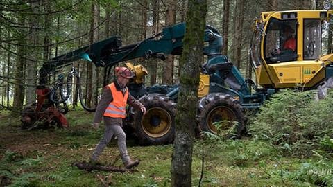 Karl und Riedle arbeiten mit dem Vollernter im Wald (Foto: SWR, SWR/Stephanie Schweigert -)