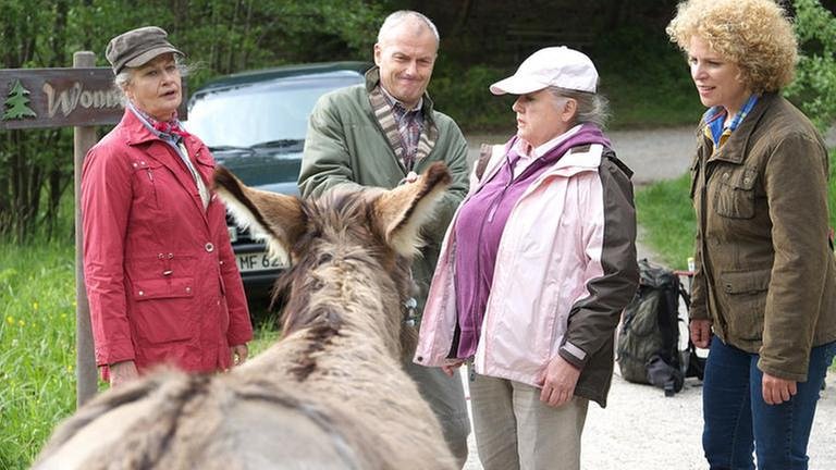 Johanna, Leni, Bea und Karl versuchen Esel Doudou zu bewegen