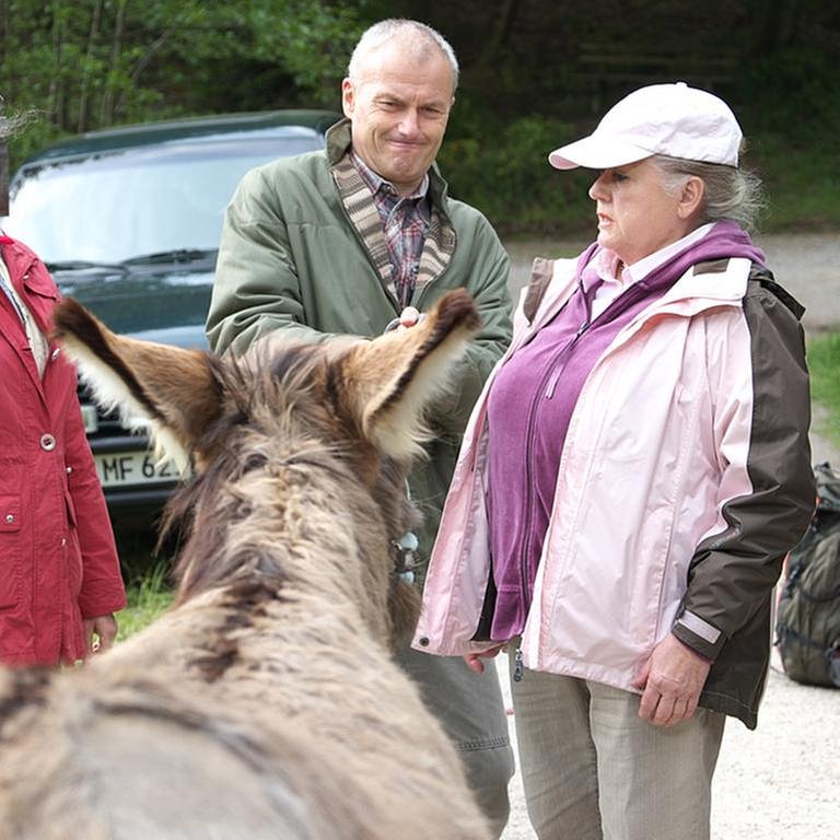 Johanna, Leni, Bea und Karl versuchen Esel Doudou zu bewegen (Foto: SWR, SWR/Stefan Sommer -)