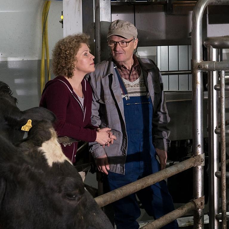 Karl und Bea im Kuhstall, im Vordergrund eine Kuh (Foto: SWR, SWR/Stephanie Schweigert -)